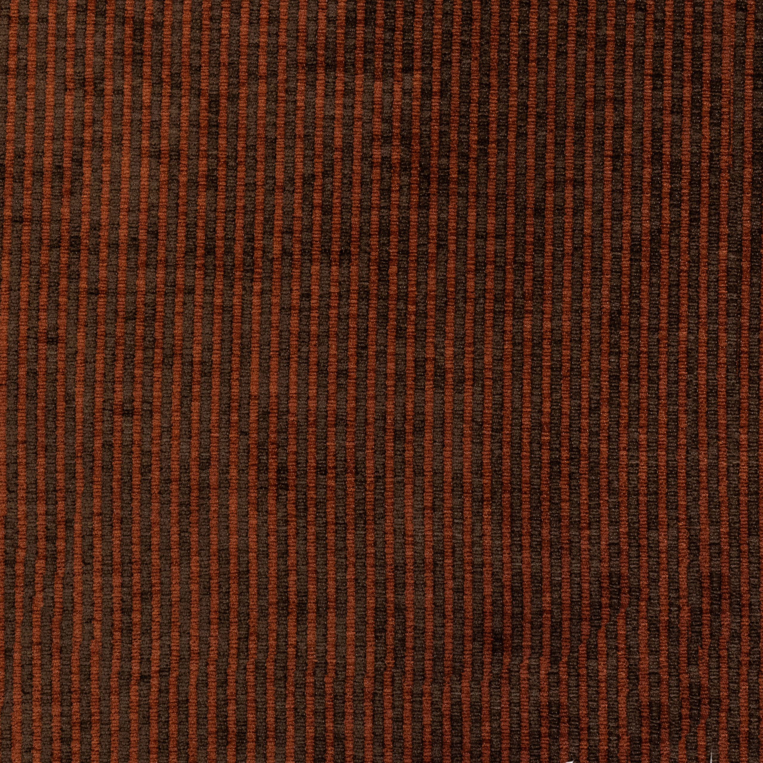 T3136/05